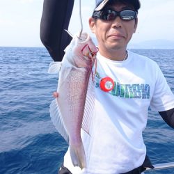 ARCADIAⅡ (アルカディアⅡ) 釣果