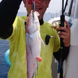 ARCADIAⅡ (アルカディアⅡ) 釣果