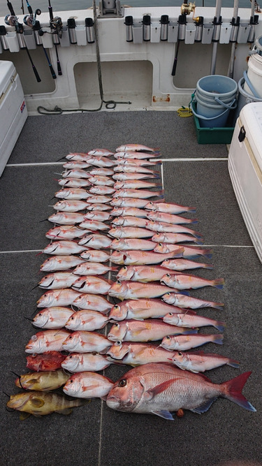 ARCADIAⅡ (アルカディアⅡ) 釣果