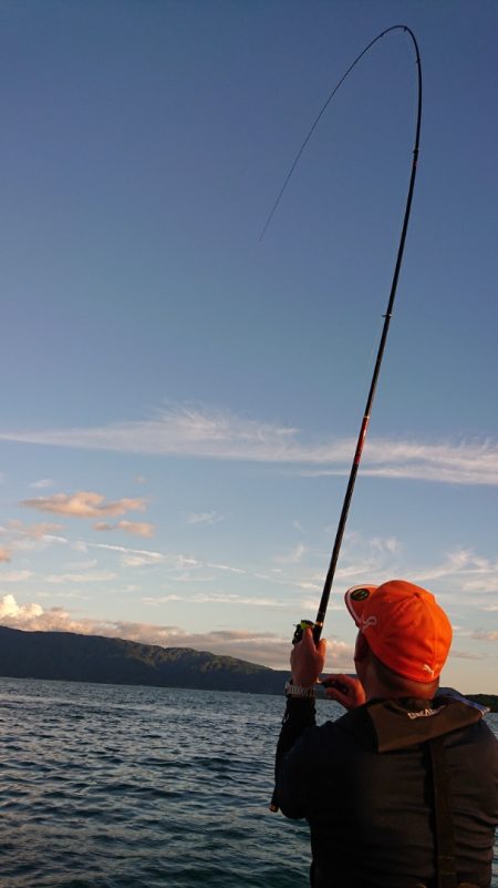 シースナイパー海龍 釣果