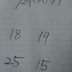 金沢八景鴨下丸 釣果