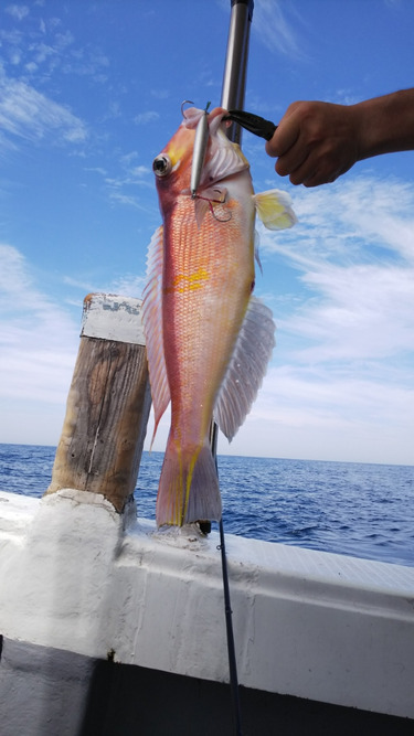 第二龍勢丸 釣果