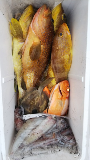 第二龍勢丸 釣果