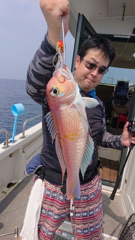 ARCADIAⅡ (アルカディアⅡ) 釣果