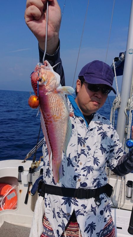 ARCADIAⅡ (アルカディアⅡ) 釣果