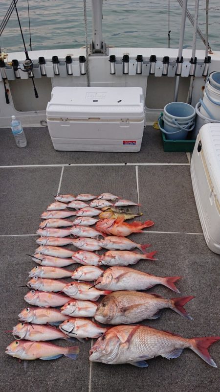 ARCADIAⅡ (アルカディアⅡ) 釣果