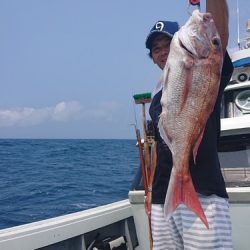 だて丸 釣果