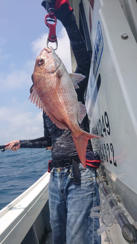 だて丸 釣果