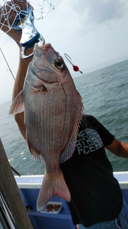 新幸丸 釣果
