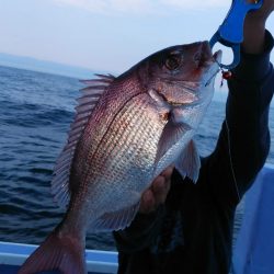 新幸丸 釣果