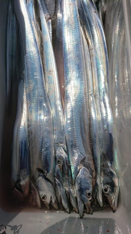 金沢八景鴨下丸 釣果