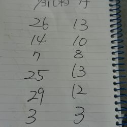 金沢八景鴨下丸 釣果