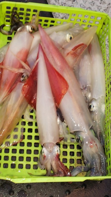 第二龍勢丸 釣果