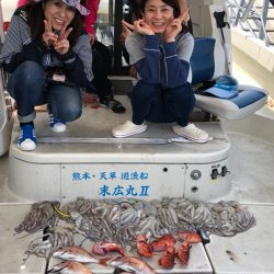 末広丸(熊本) 釣果