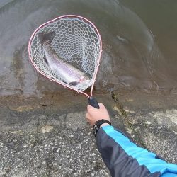 平谷湖フィッシングスポット 釣果