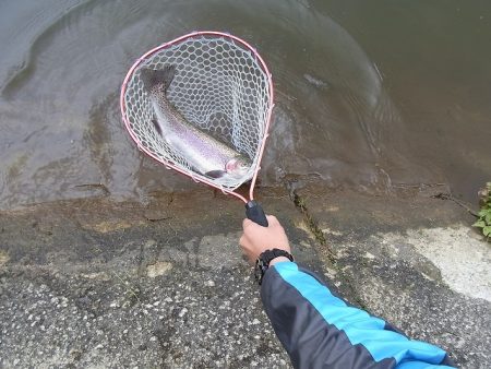 平谷湖フィッシングスポット 釣果