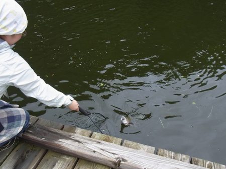 平谷湖フィッシングスポット 釣果