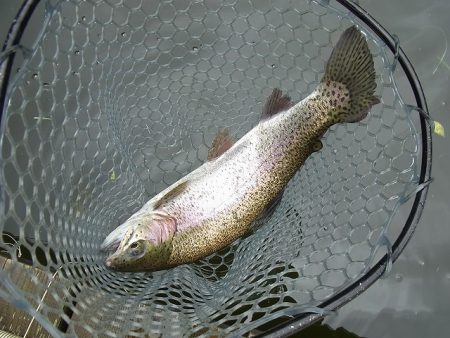 平谷湖フィッシングスポット 釣果