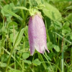 平谷湖フィッシングスポット 釣果