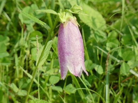 平谷湖フィッシングスポット 釣果