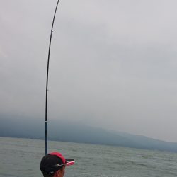 シースナイパー海龍 釣果