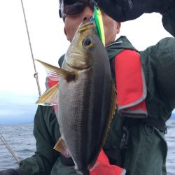 渡船屋たにぐち 釣果