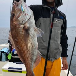 「LaGooN」蒼陽丸 日和号　 釣果