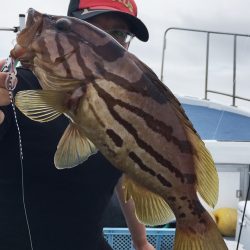 渡船屋たにぐち 釣果