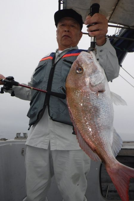 ブルースフィッシングサービス 釣果