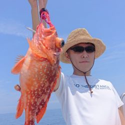 ARCADIAⅡ （アルカディアⅡ） 釣果