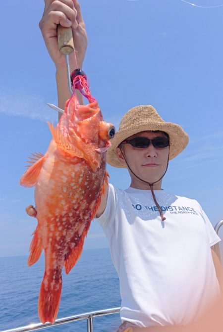 ARCADIAⅡ （アルカディアⅡ） 釣果