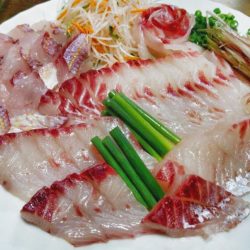 ブルースフィッシングサービス 釣果