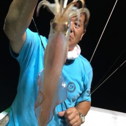 渡船屋たにぐち 釣果