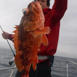 ブルースフィッシングサービス 釣果