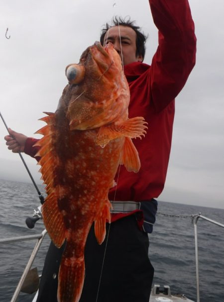 ブルースフィッシングサービス 釣果