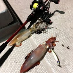 渡船屋たにぐち 釣果