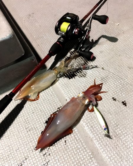 渡船屋たにぐち 釣果