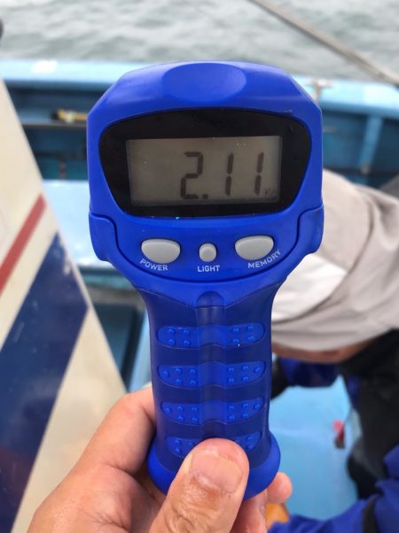 ヤザワ渡船 釣果