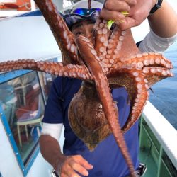 ヤザワ渡船 釣果