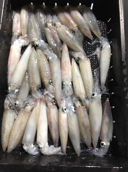 渡船屋たにぐち 釣果