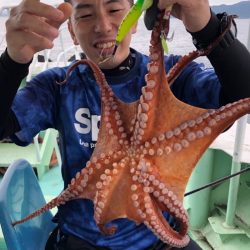 ヤザワ渡船 釣果