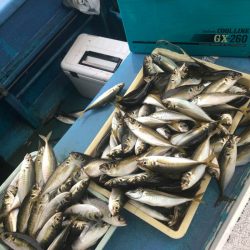 ヤザワ渡船 釣果