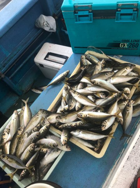 ヤザワ渡船 釣果