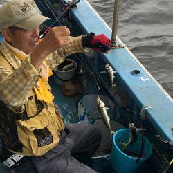 ヤザワ渡船 釣果