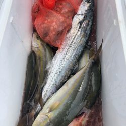 ぽん助丸 釣果
