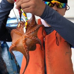 ヤザワ渡船 釣果