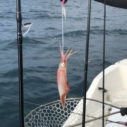 「LaGooN」蒼陽丸 日和号 釣果