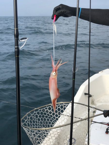 「LaGooN」蒼陽丸 日和号 釣果