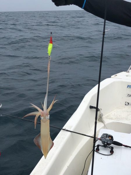「LaGooN」蒼陽丸 日和号 釣果