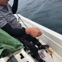 「LaGooN」蒼陽丸 日和号 釣果